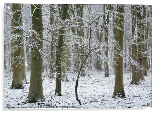 Winter woodland Acrylic by Simon Johnson