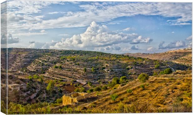 West Bank landscape, Israel. Canvas Print by Peter Bolton