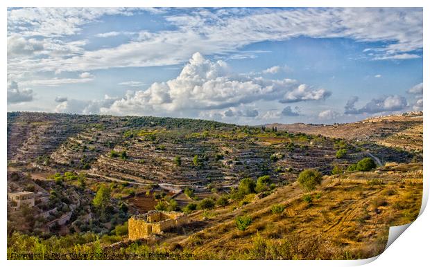 West Bank landscape, Israel. Print by Peter Bolton