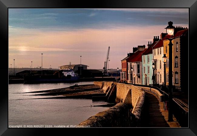The Houses of Hartlepool Headland Framed Print by ROS RIDLEY