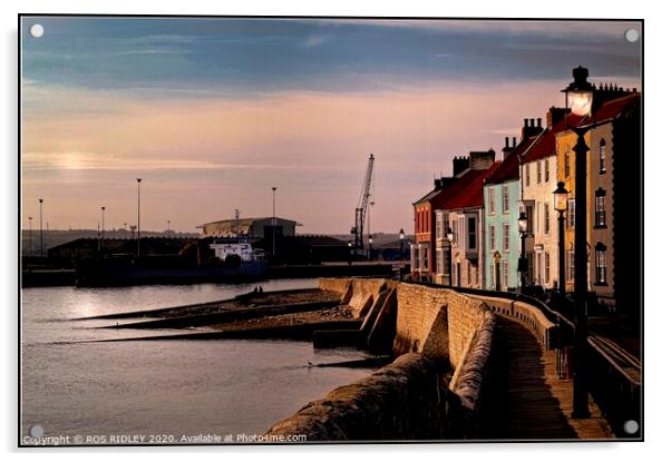 The Houses of Hartlepool Headland Acrylic by ROS RIDLEY