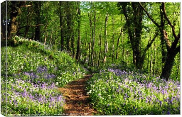 Path into the bluebell woods near Looe in Cornwall  Canvas Print by Rosie Spooner
