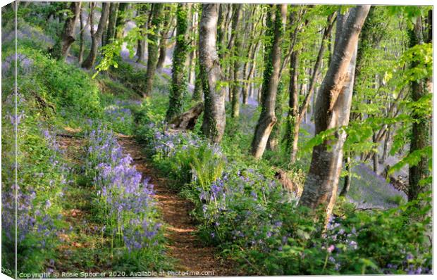 Path into the bluebell woods in Cornwall Canvas Print by Rosie Spooner
