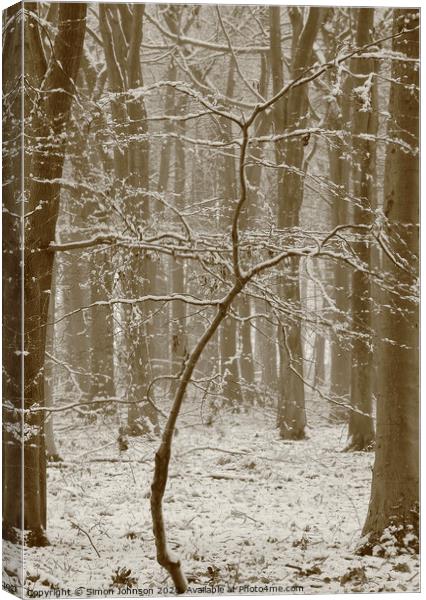 Beech tree in snow  Canvas Print by Simon Johnson