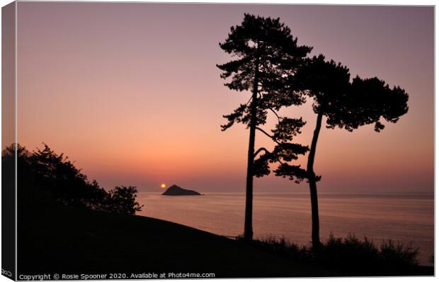 Silhouetted trees at Sunrise at Meadfoot Beach in  Canvas Print by Rosie Spooner