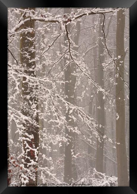 Winter woodland snow Framed Print by Simon Johnson