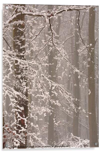 Winter woodland snow Acrylic by Simon Johnson