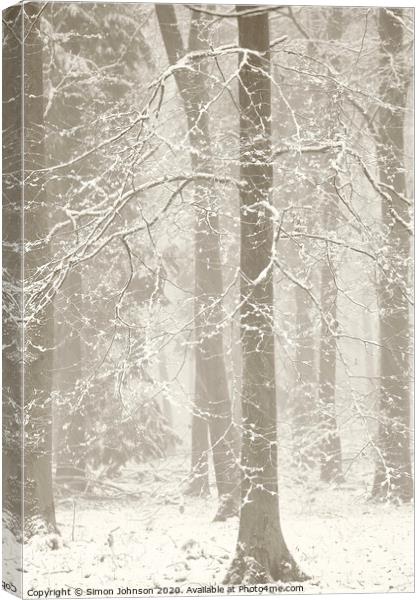 snowy woodland Canvas Print by Simon Johnson