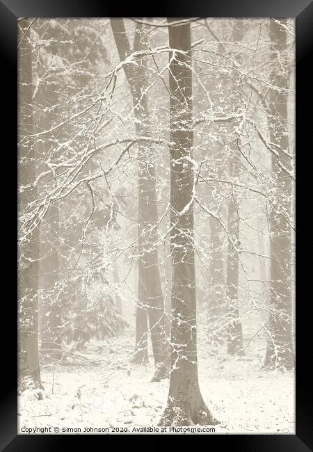 snowy woodland Framed Print by Simon Johnson