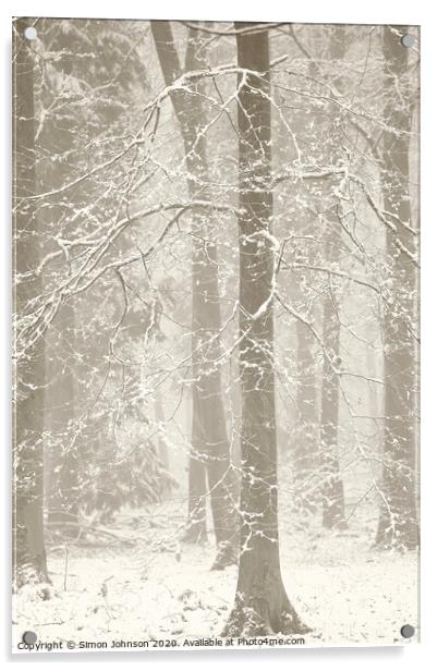 snowy woodland Acrylic by Simon Johnson