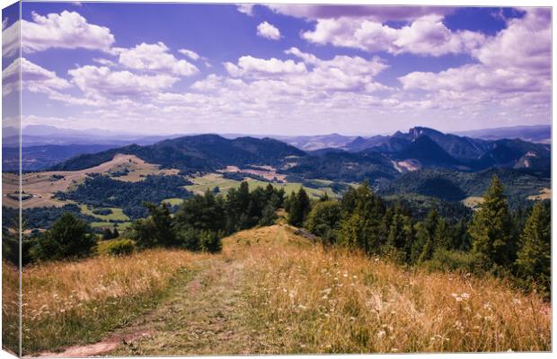 Bielsko Biala, South Poland: Wide angle view of Polish mountains from south in summer against dramatic clouds. Beskidy mountains in Silesia near slovakia border. Canvas Print by Arpan Bhatia