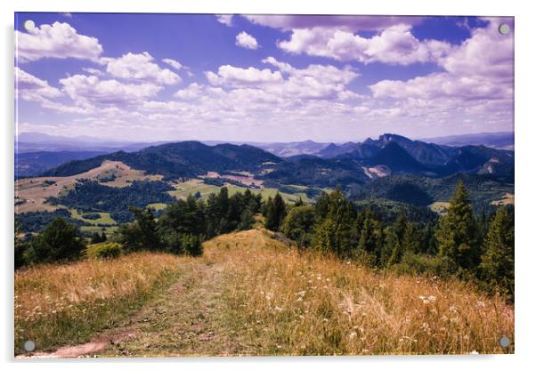 Bielsko Biala, South Poland: Wide angle view of Polish mountains from south in summer against dramatic clouds. Beskidy mountains in Silesia near slovakia border. Acrylic by Arpan Bhatia