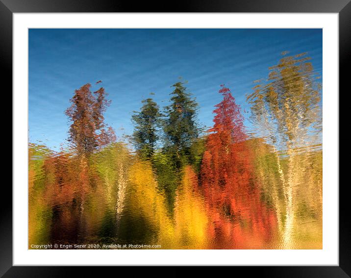 Reflections of Autumn Trees on Water Surface Framed Mounted Print by Engin Sezer