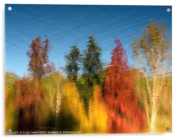 Reflections of Autumn Trees on Water Surface Acrylic by Engin Sezer