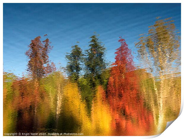 Reflections of Autumn Trees on Water Surface Print by Engin Sezer