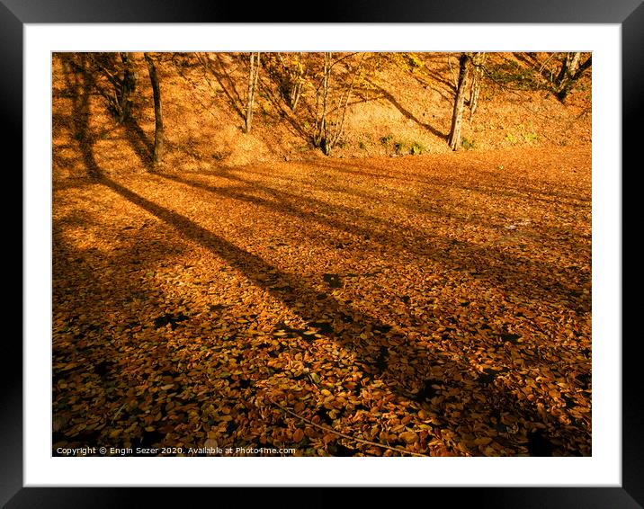 Lake of Autumn Leaves Framed Mounted Print by Engin Sezer