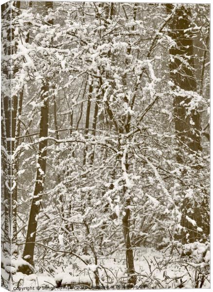 Woodland blizzard Canvas Print by Simon Johnson