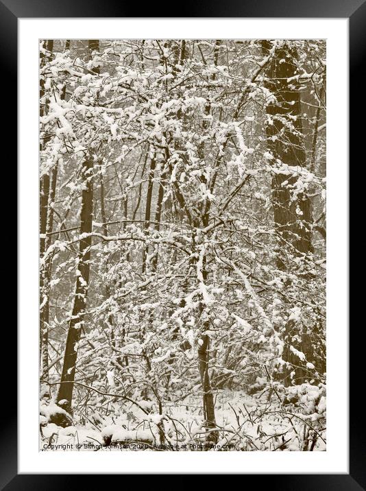 Woodland blizzard Framed Mounted Print by Simon Johnson
