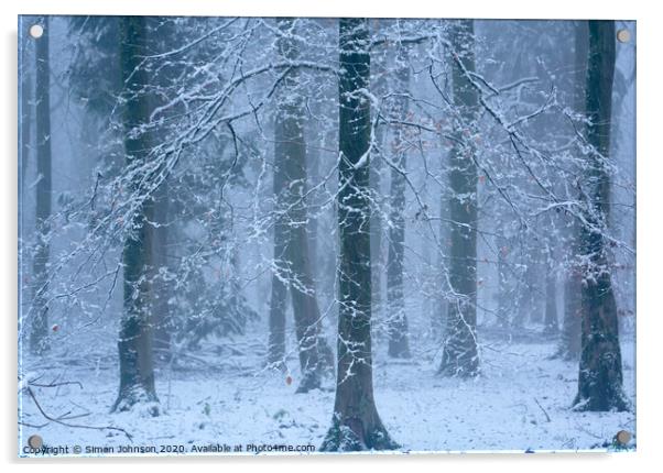 Woodland snowscape Acrylic by Simon Johnson