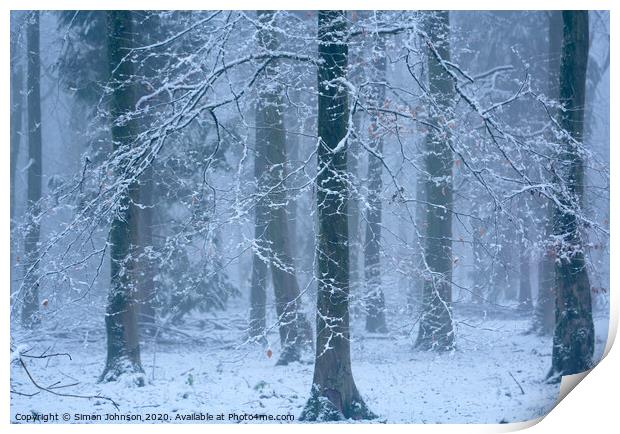 Woodland snowscape Print by Simon Johnson