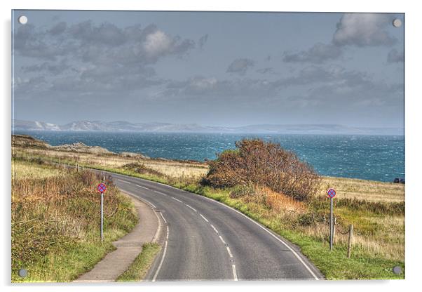 The Coast Road Acrylic by Nicola Clark
