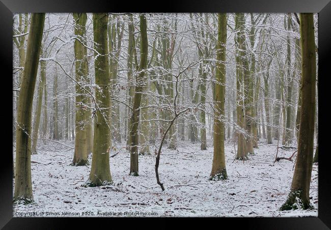 Woodland winter Framed Print by Simon Johnson