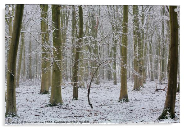 Woodland winter Acrylic by Simon Johnson