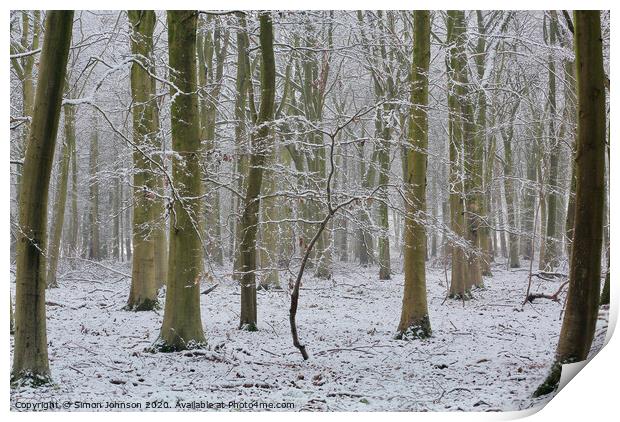 Woodland winter Print by Simon Johnson