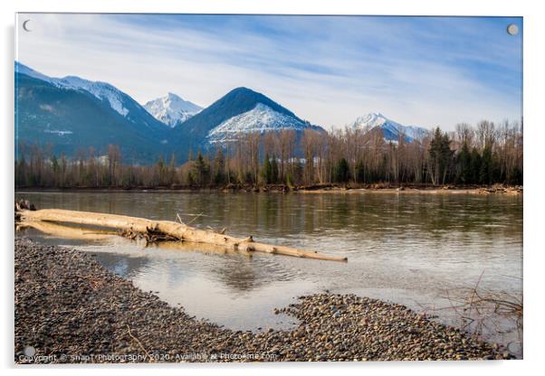 Skeena River in British Columbia, Canada, on an early spring morning Acrylic by SnapT Photography