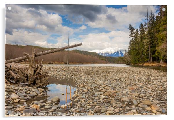 Two fly fishing rods on a dead tree on a river in British Columbia Acrylic by SnapT Photography