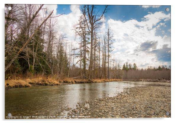 Beautiful small stream in British Columbia, Canada, in the Spring Acrylic by SnapT Photography