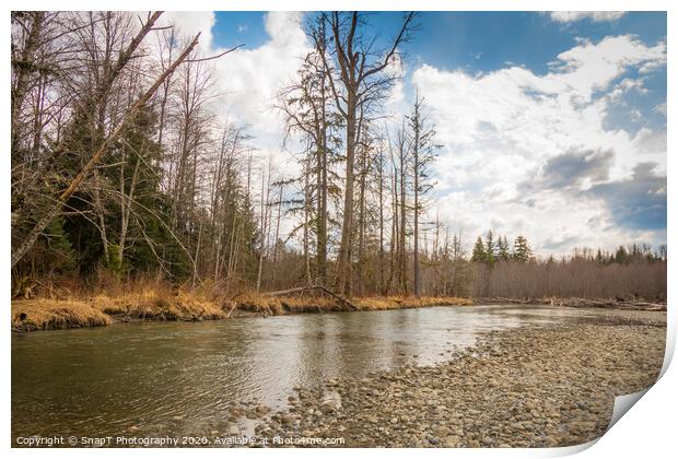 Beautiful small stream in British Columbia, Canada, in the Spring Print by SnapT Photography