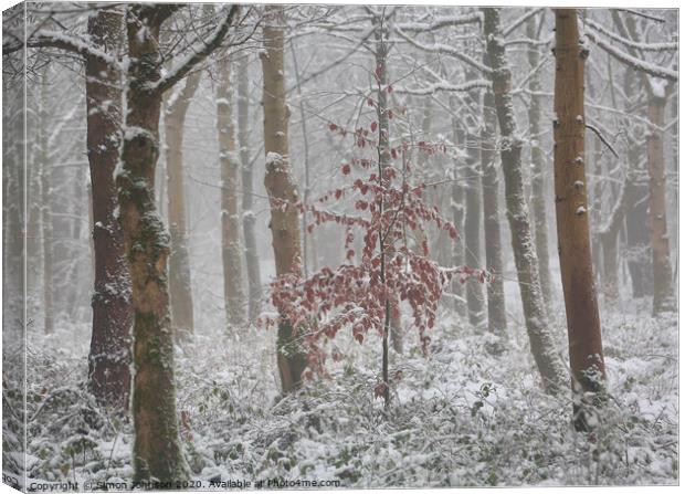Frosted woodland  Canvas Print by Simon Johnson