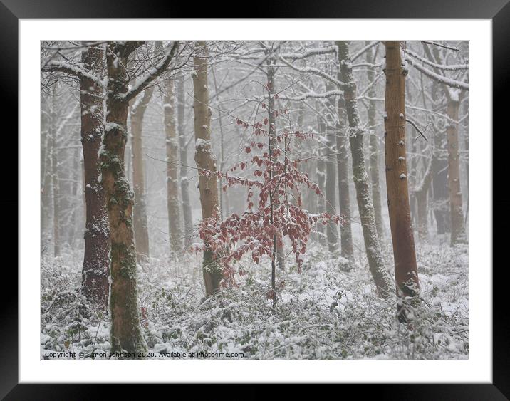 Frosted woodland  Framed Mounted Print by Simon Johnson