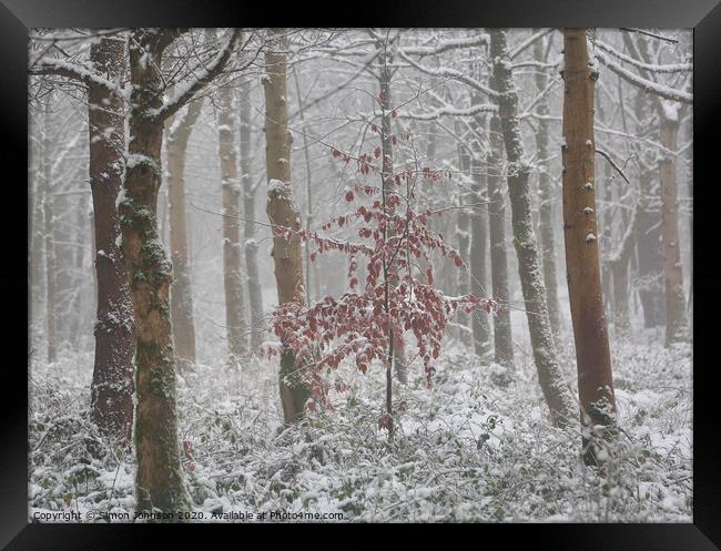 Frosted woodland  Framed Print by Simon Johnson