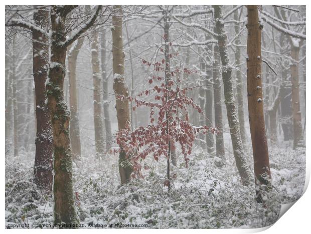 Frosted woodland  Print by Simon Johnson