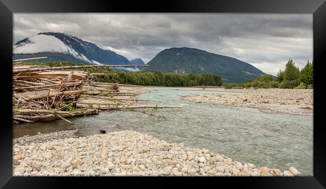 Log jam at the Shames and Skeena River confuence, on a cloudy day, with forest and mountains in the background. Framed Print by SnapT Photography