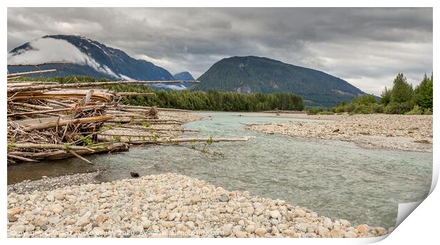 Log jam at the Shames and Skeena River confuence, on a cloudy day, with forest and mountains in the background. Print by SnapT Photography