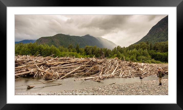 A man standing beside a very big log jam on a river in British Columbia, Canada Framed Mounted Print by SnapT Photography