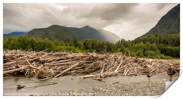 A man standing beside a very big log jam on a river in British Columbia, Canada Print by SnapT Photography