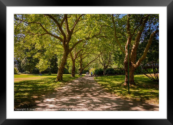 A woodland path in Stanley Park, Vancouver, British Columbia, Canada Framed Mounted Print by SnapT Photography