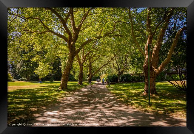 A woodland path in Stanley Park, Vancouver, British Columbia, Canada Framed Print by SnapT Photography