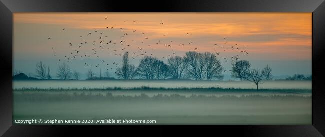 Low mist sunset and birds  Framed Print by Stephen Rennie