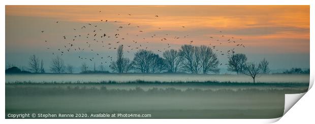 Low mist sunset and birds  Print by Stephen Rennie