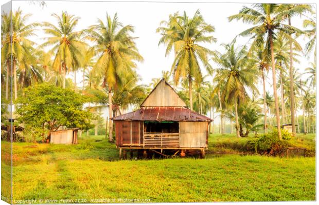 Small house surrounded by coconut palm trees Canvas Print by Kevin Hellon