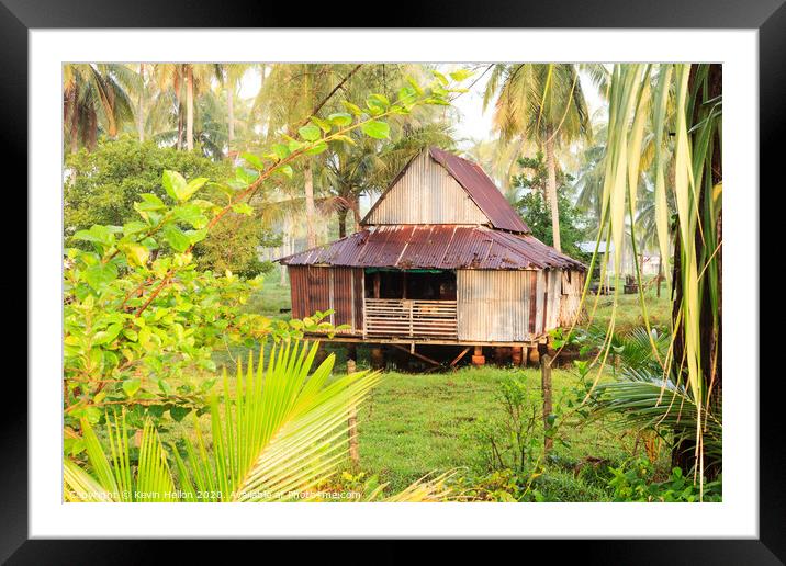 Small house surrounded by coconut palm trees Framed Mounted Print by Kevin Hellon