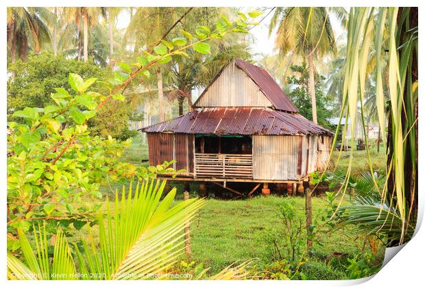 Small house surrounded by coconut palm trees Print by Kevin Hellon