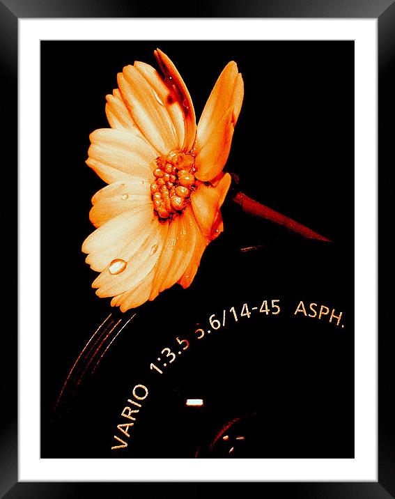 Flower Lens Framed Mounted Print by Louise Godwin