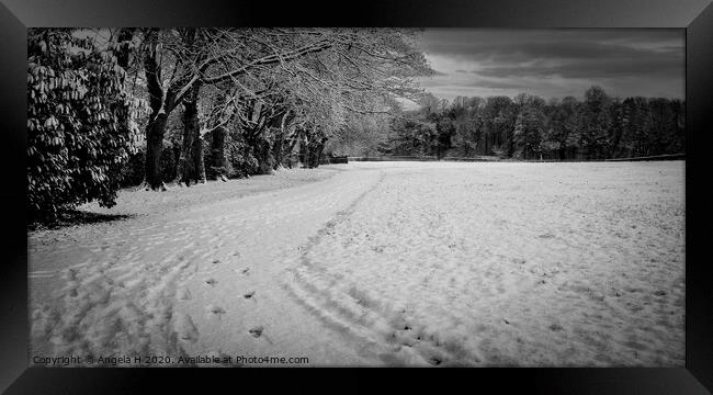 Snowy Park Framed Print by Angela H