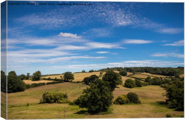 Petworth countryside Canvas Print by Stuart C Clarke